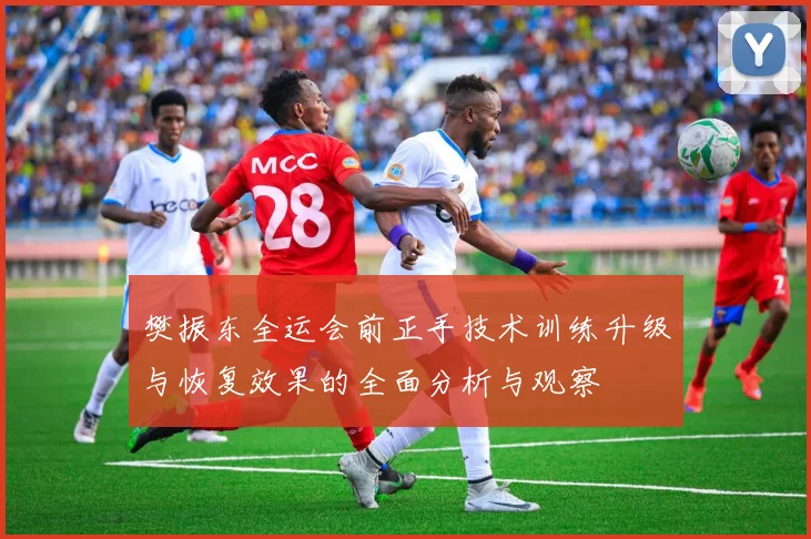 樊振东全运会前正手技术训练升级与恢复效果的全面分析与观察